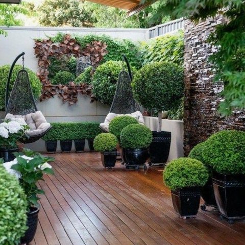 Tips Membuat Taman dalam Rumah yang Estetik dan Tidak Berantakan