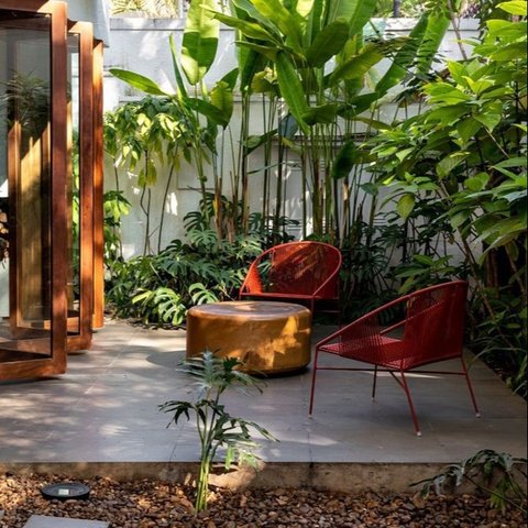 Tips Membuat Taman dalam Rumah yang Estetik dan Tidak Berantakan