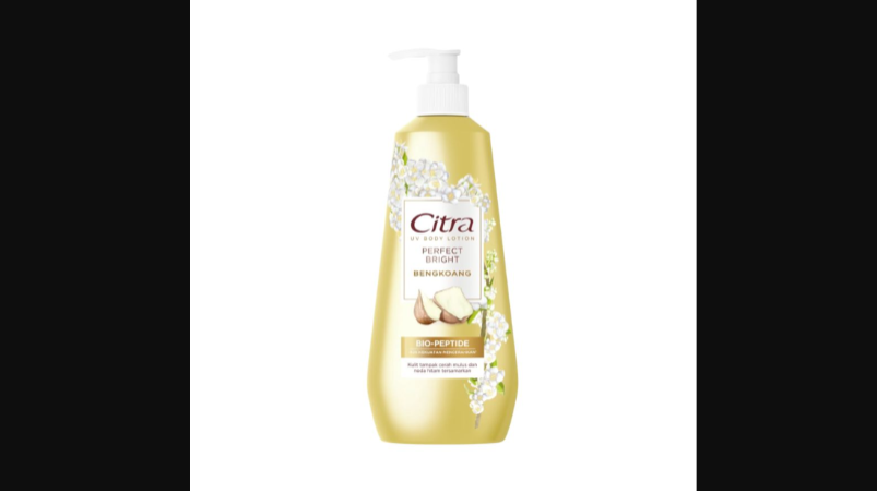 Citra UV Body Lotion Perfect Bright Bengkoang (ASTRO)