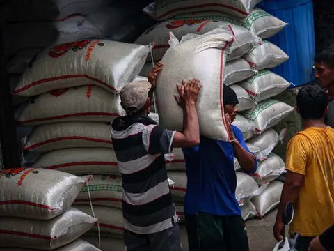 Pemerintah Tidak Pernah Minta Beras Premium Oplosan Ditarik dari Peredaran