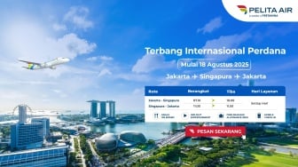 Perluas Layanan ke Pasar Global, Pelita Air Akan Buka Rute Internasional Perdana