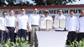 BRI Dukung Program Sapi Merah Putih, Dorong Swasembada Pangan Nasional