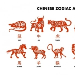 5 Shio Paling Beruntung Besok 19 Oktober 2025: Karier, Cinta hingga Keuangan