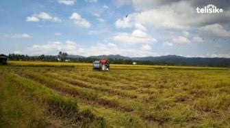 Legislator Gerindra Beri Wanti-wanti Soal Alih Fungsi Lahan Sawah, Bisa Ancam Kedaulatan Pangan