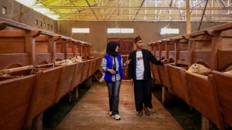 KUR BRI Tembus Rp99 Triliun, UMKM Indonesia Semakin Naik Kelas